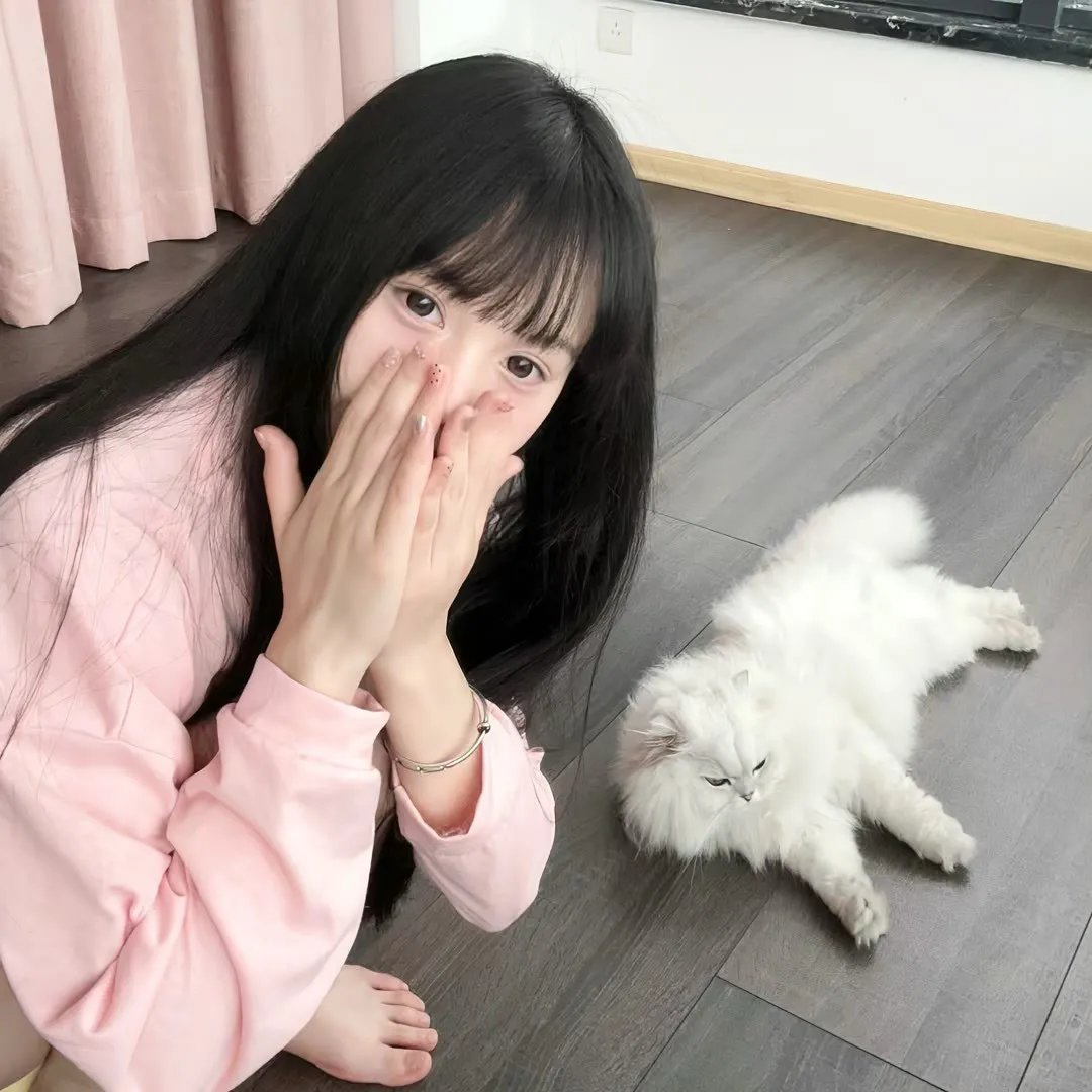 第四议定书